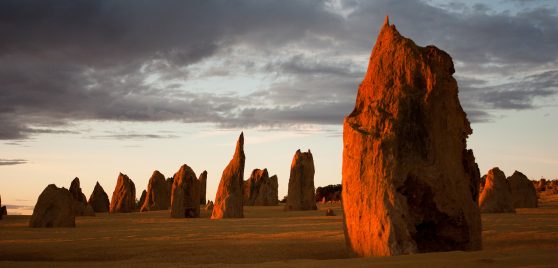 Limestone rocks at sunset standing upright